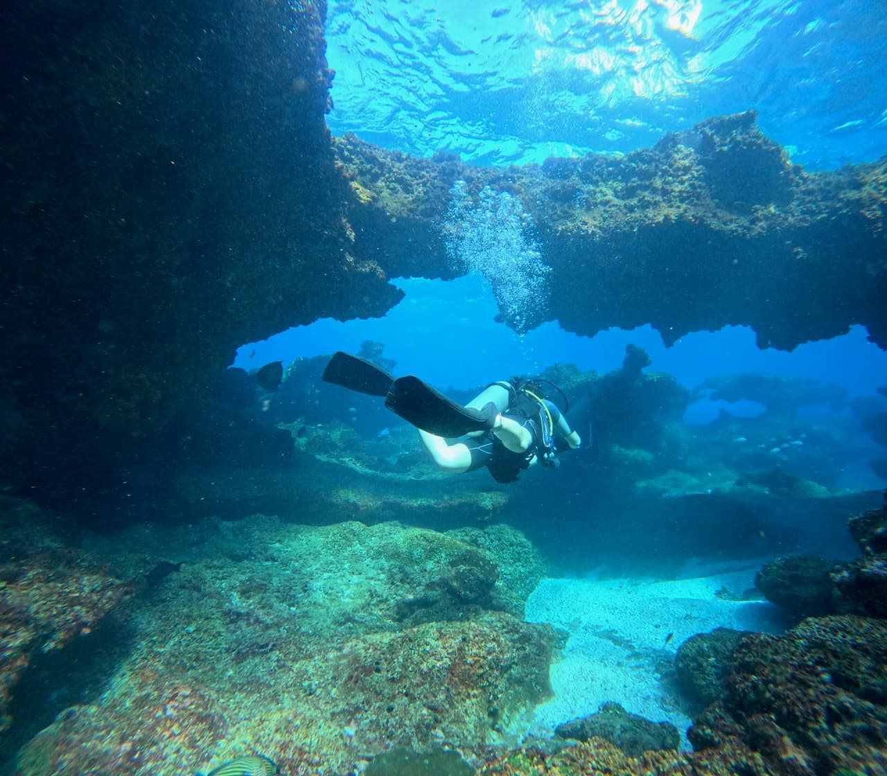 Diver swimming through underwater rock arch