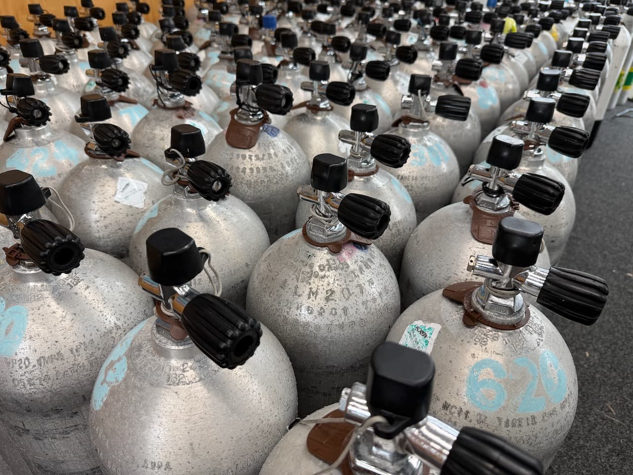 Rows of scuba tanks ready for diving operations